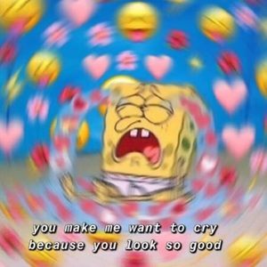 Meet your Posher, Paige